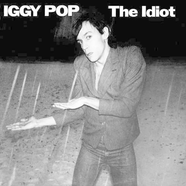 Iggy Pop The Idiot