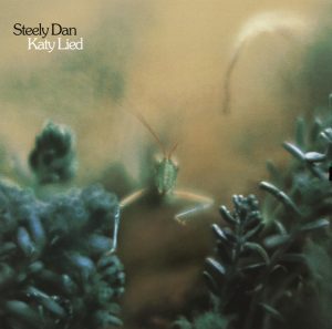 Steely Dan Katy Lied Cover